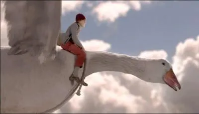 Ce roman pour la jeunesse écrit par Selma Lagerlöf, s'intitule : "Le Merveilleux voyage de Nils Holgersson à travers..."