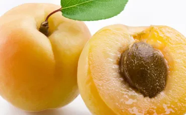 Quiz Fruits