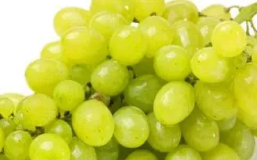 Quiz Fruits