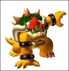 De quelle race est Bowser ?