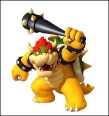 Quel âge a Bowser ?