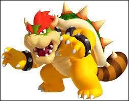 Bowser est un :