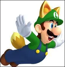 De quelle fille est amoureux Luigi ?