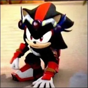 Que possède Shadow sur la tête ?