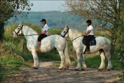 Pour monter il faut ;;;