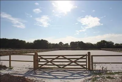 Définition du mot piste.