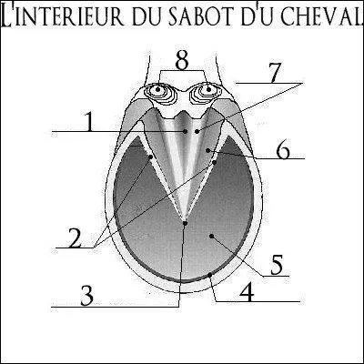 Qu'est-ce que les numéros 1et 6 ?