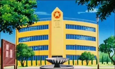 Videl et son père vivent dans cette ville. À la base, son nom était 'Orange Star City' mais il a été modifié pour le 'héros' qui a vaincu Cell.