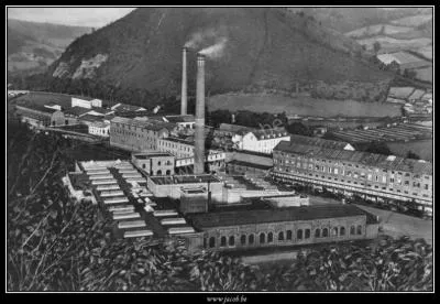 Quelle industrie a fait la renommée économique de Malmedy à l'époque napoléonienne, hormis la tannerie ?