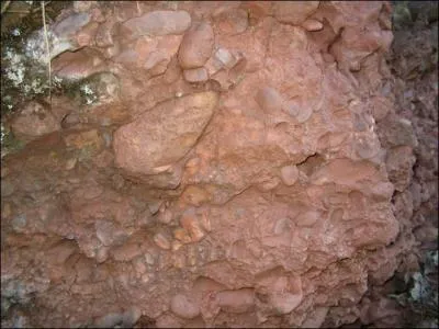 Qu'appelle-t-on poudingue de Malmedy ?