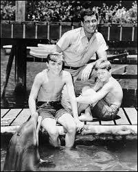 Comment s'appelle un célèbre dauphin d'une série télévisée des années 60 ?