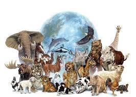 Quiz Animaux