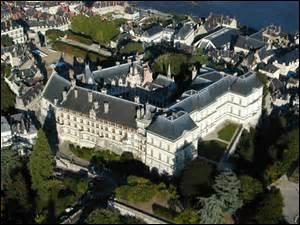 Dans quelle ville de plus de 49 000 habitants, située en Loir-et-Cher, visiterez-vous ce château ?