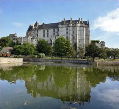 14 556 habitants pour cette ville construite entre Orléanais, Beauce et Perche.
Son château, vraie place forte à l'origine, est à présent un superbe édifice Renaissance ; il se dresse sur un éperon rocheux et domine la vallée du Loir.
