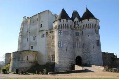 Ville située dans la région du Perche, dominée par le château datant du tout début du XIe siècle et de vocation toute militaire ; ce dernier surveille les accès à Chartres et vers la ville du Mans.
De quel château est-il question ?