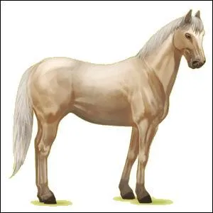 Sur "Equideow", quelle race n'a qu'une robe ?