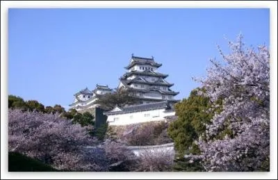 Dans quel pays se trouve la plus grande ville du monde ?