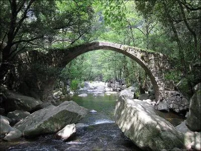 Ce pont construit en 1797 sur la Tavulella, à Evisa en Corse-du-Sud, est classé aux monuments historiques depuis 1990 ; il se nomme :