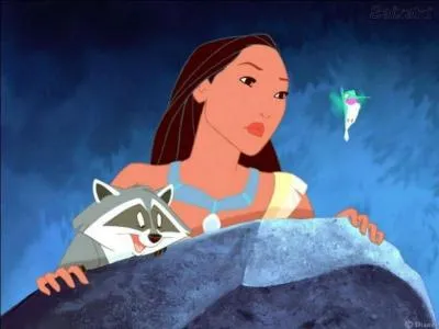 Comment s'appelle le raton laveur dans "Pocahantas" ?