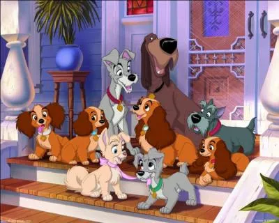 Comment s'appelle le fils de Lady dans "La Belle et le Clochard 2" ?