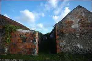 Le groupe de musique hip-hop se nommant les Nèg' Marrons mélange les influences reggae, et rap français. Leur premier album est intitulé Rue Case Nègres. Mais à quoi correspond ce nom de Rue Case Nègres ?