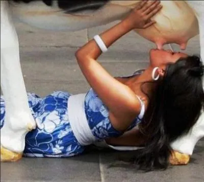 Quelle est la bonne onomatopée ?