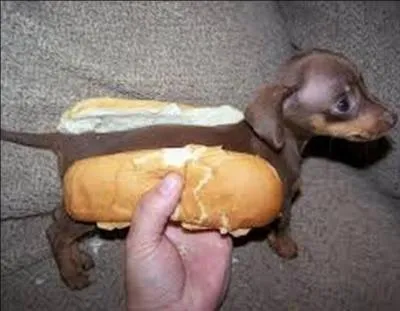 Quelle est la bonne onomatopée ?