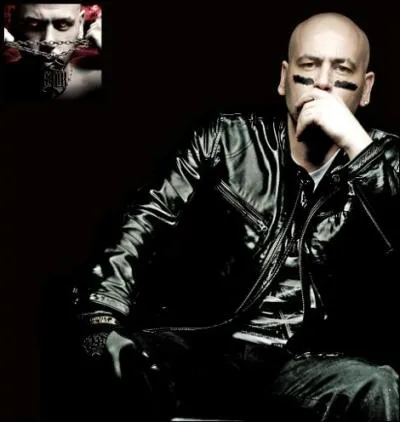 Si je vous dis Sinik et James Blunt accompagné de "Et ça fait mal quand je réalise que si peu de rêves se réalisent, que j'avance pas, que leur justice ralentit, que la France n'est pas si belle, ma prof d'histoire a menti, que dans la vie faire la paix n'est pas rentable, j'ai compris que faire la paix c'est le cauchemar du marchand d'armes.", vous me dites :