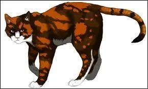 Quel est le nom de guérisseuse de Nuage de Feuille ?