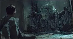 Comment les personnes dans l'enceinte du labyrinthe appellent-elles les monstres présents dans celui-ci ?