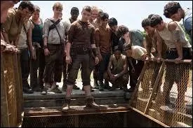 Qui le sort de la boîte ?