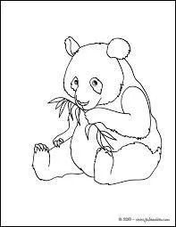 Le panda g&eacute;ant a les oreilles...