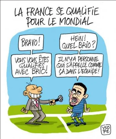 Juillet : Quel pays remporte la Coupe du monde de foot au Brésil le 13/07/2014 ?