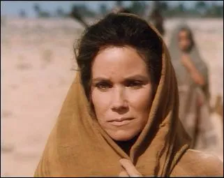 Les Egyptiens voient que Sarai est...