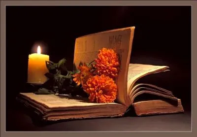 Retrouvez le titre du roman de Georges Simenon :