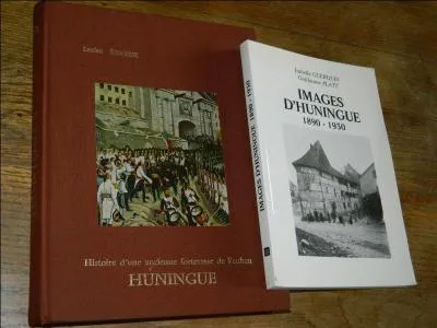 L'un des points par où passe la frontière entre France et Allemagne s'appelle Huningue. Dans quel département se trouve cette ville ?