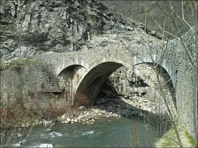 Ce pont de 16 mètres sur une arche a été construit sur le Verdon au XVIIIe siècle, à Colmars dans les Alpes-de-Haute-Provence ; il se nomme :