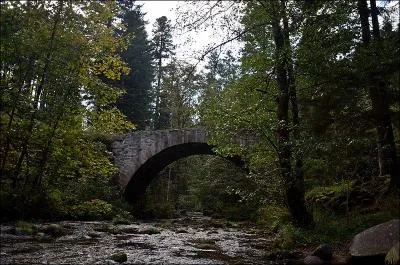 Ce pont piétonnier sur la Vologne date du XVIIIe siècle. Il a été construit à
Gérardmer dans les Vosges ; il se nomme :