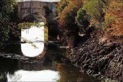 Ce pont d'une arche construit sur le canal de la Brande au Château-d'Oléron, en Charente-Maritime au XVIIIe siècle, se nomme :