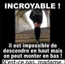 Les expressions : "Monter en haut ", "Être solidaires les uns des autres", "Reporter à plus tard", "C'est mon livre à moi" sont appelées des :