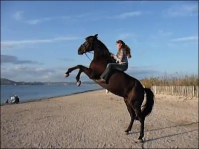 Parlons à présent de votre sujet favori, votre ...