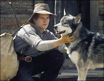 Comment s'appelle ce personnage ? (Le loup)