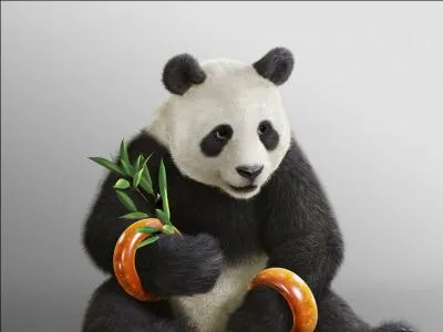 Panda est l'animal de compagnie de quel personnage féminin de Tekken ?