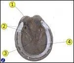 Comment se nomme la partie 1 ?