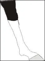 Comment se nomme cette balzane ?