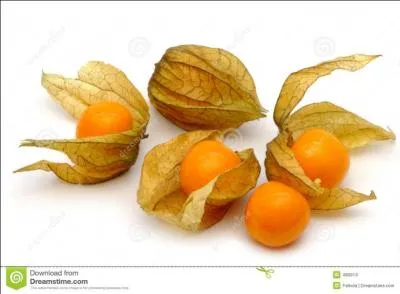 Comment s'appelle ce fruit ou légume ?