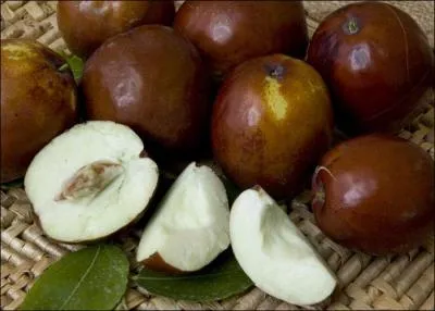 Comment s'appelle ce fruit ou légume ?