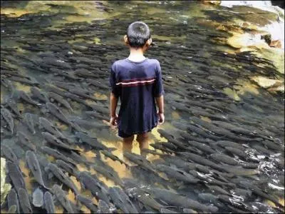 Cueille le jour présent sans te soucier du lendemain !
