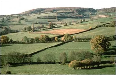Quelle est la caractéristique d'un bocage ?