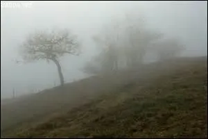 Quelle est la proportion des paysages ruraux sur la planète ?